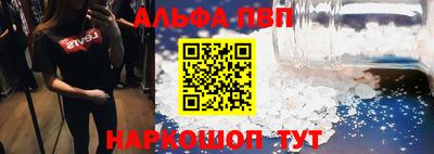стаф Будённовск