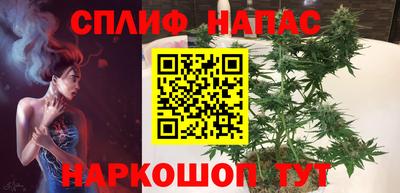 стаф Будённовск