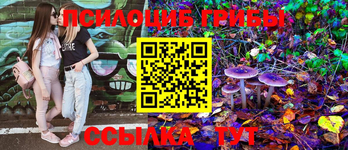Советская Гавань  Галлюциногенные грибы MAGIC MUSHROOMS  Вход с VPN 